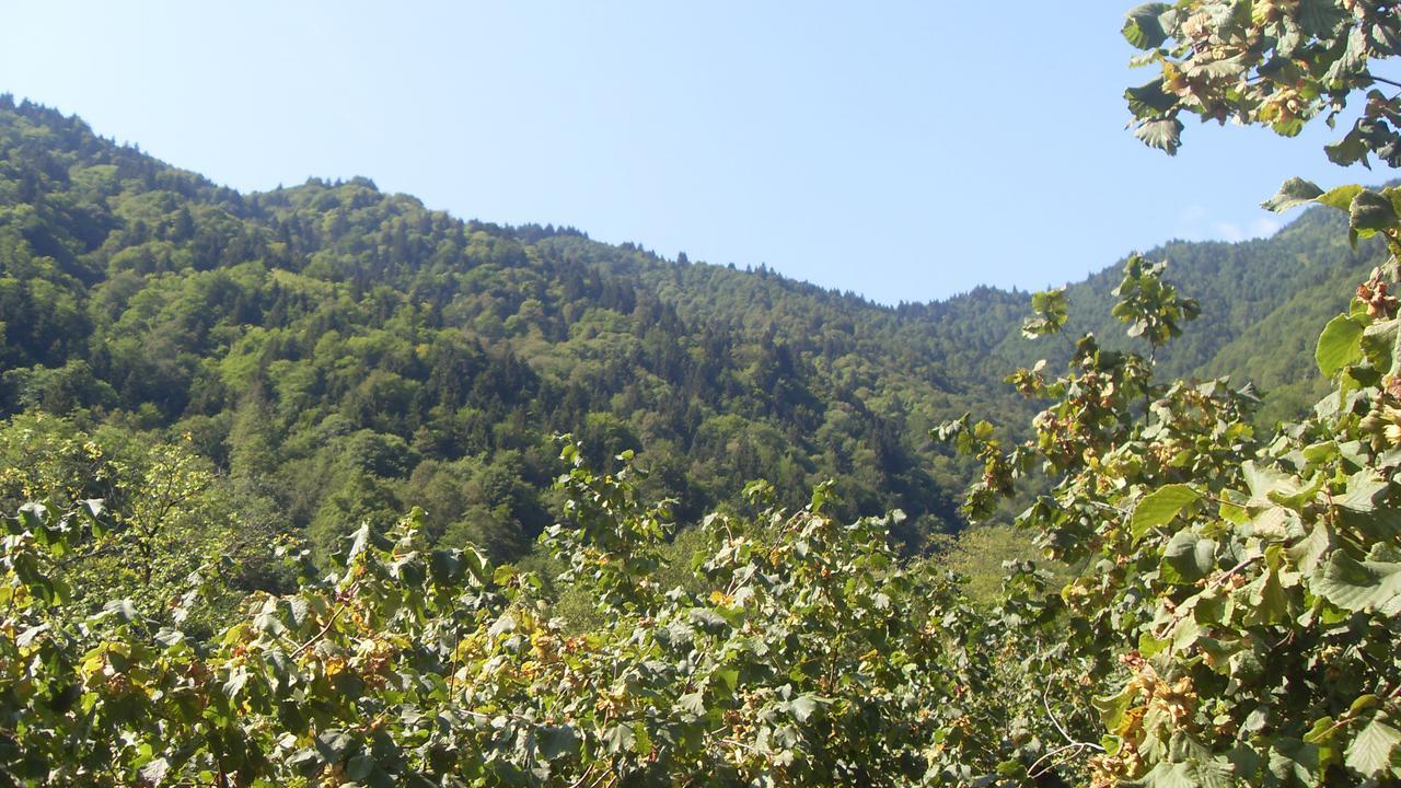 Ataköy Apart Caykara Dış mekan fotoğraf