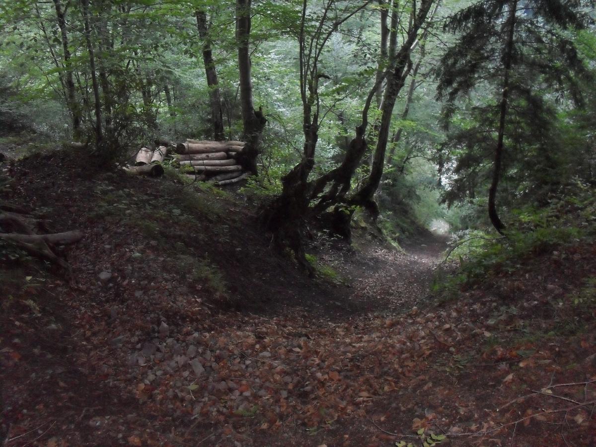 Ataköy Apart Caykara Dış mekan fotoğraf