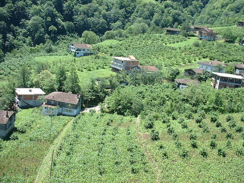 Ataköy Apart Caykara Dış mekan fotoğraf